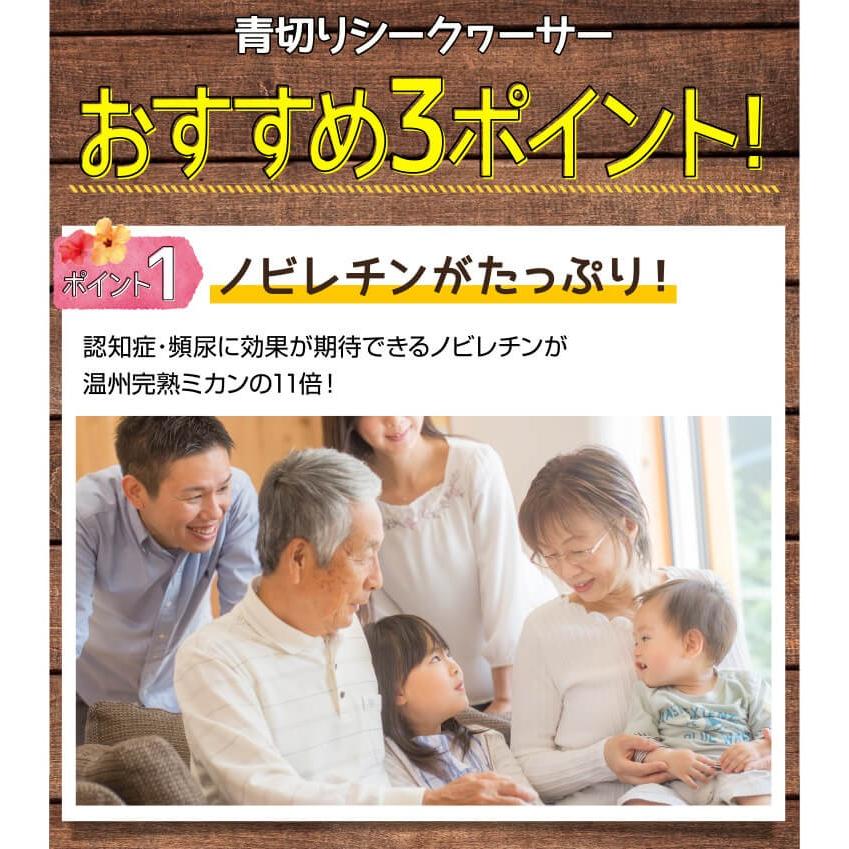 種なし 沖縄産 山原 青切り シークワーサー シークヮーサー 果実 A品 5kg (150〜300個入り)  特別栽培 農薬残留ほぼゼロ ノビレチン シークワーサー100%｜mantenmiyakojima｜05