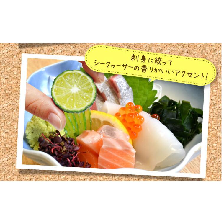 沖縄産 シークワーサー シークヮーサー 果実 種なし 2kg (60〜100個