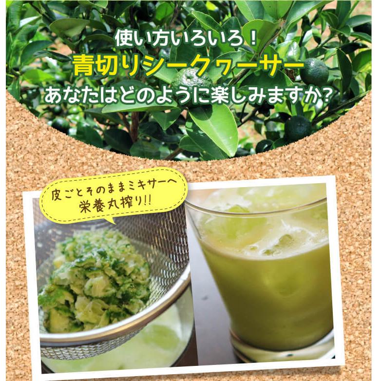 沖縄産 シークワーサー シークヮーサー 果実 種なし 2kg (60〜100個