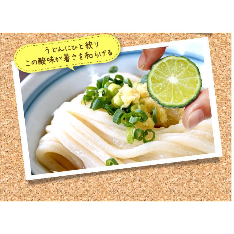 沖縄産 青切り シークワーサー シークヮーサー 果実 種なし 5kg (150