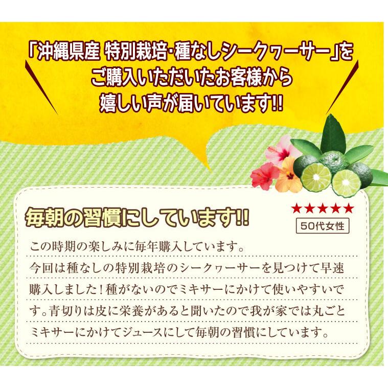 沖縄産 青切り シークワーサー シークヮーサー 果実 種なし 5kg (150