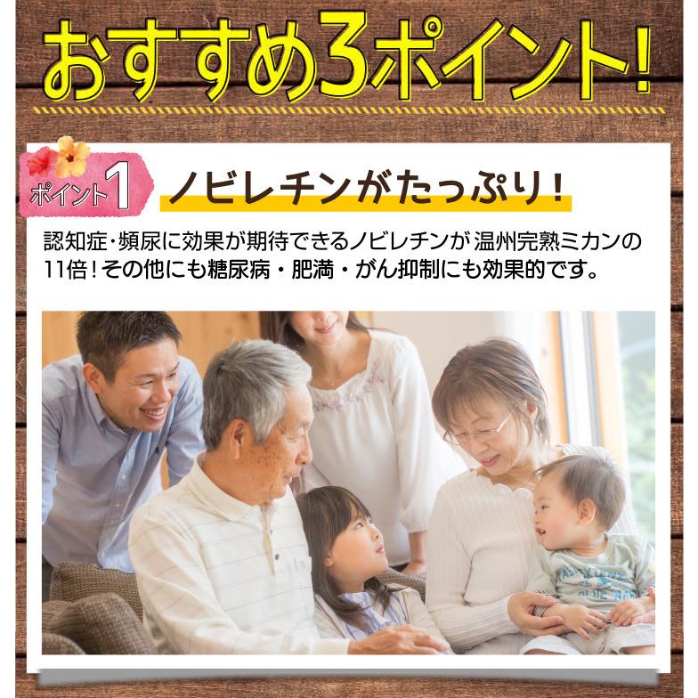 沖縄産 青切り シークワーサー シークヮーサー 果実 種なし 5kg (150