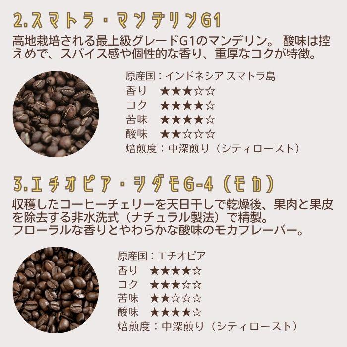 コーヒー豆セット 7種から2種選べる 150g×2 計300g 満天珈琲 自家焙煎