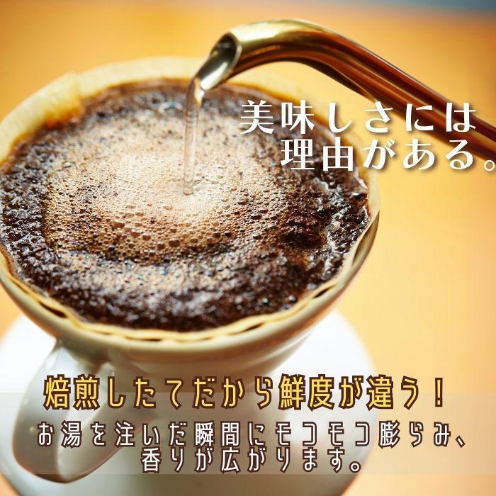 コーヒー豆 大容量セット 8種から4種選べる 1.6kg 400g×4 自家焙 煎