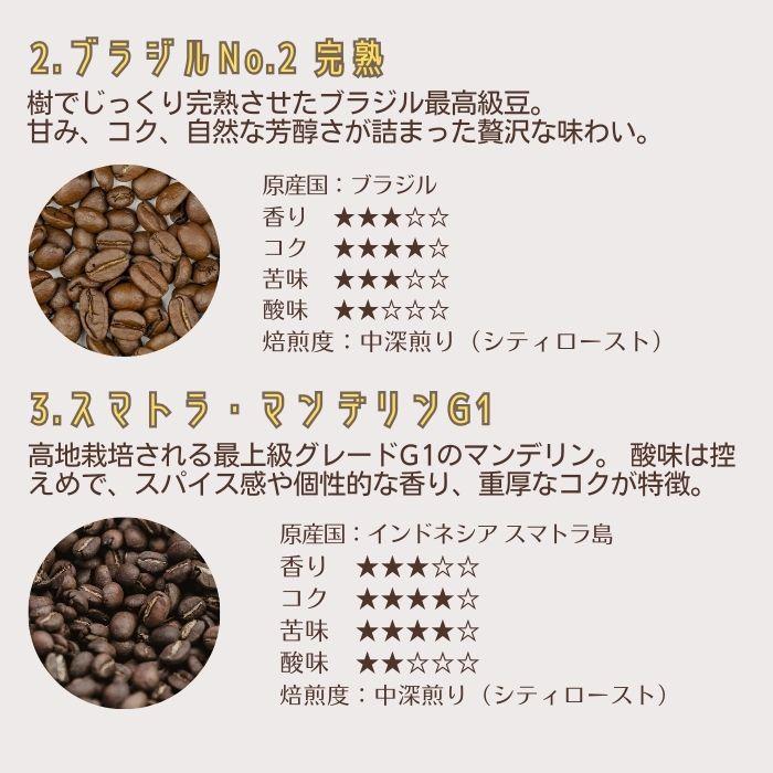 コーヒー豆 大容量セット 8種から4種選べる 1.6kg 400g×4 自家焙 煎