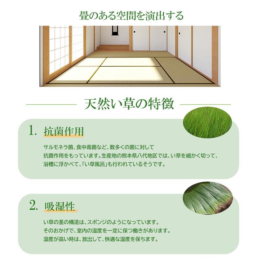 小上がり ユニット畳 畳ベンチ 樹脂畳ユニット ナチュラルorブラウン ロータイプＡセット 幅180cm×奥行180cm×高さ31.5cm 収納畳 高床式 21211/21212の画像