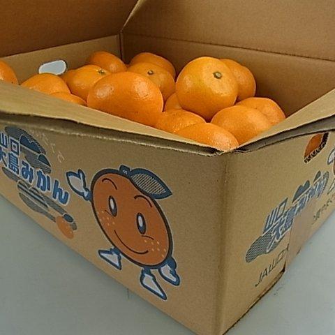 通販オンラインに低価格で 山口大島みかん S Lサイズ １０kg 周防大島産みかん 販売の人気 Www Superavila Com