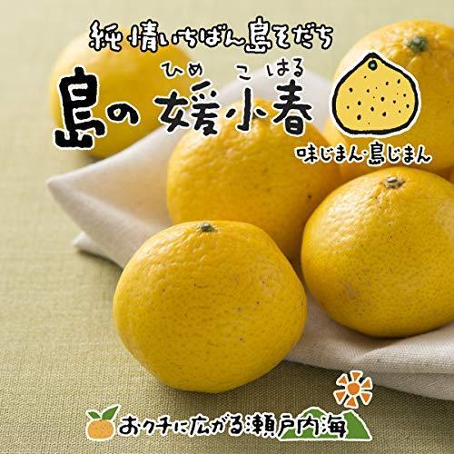 世界どこでも無料発送 希望の島 媛小春 5kg 家庭用 サイズ込 愛媛 中島産 みかん 当店イチオシ品種 愛媛の新柑橘3兄弟 紅まどんな 甘 取扱 店 Www Superavila Com