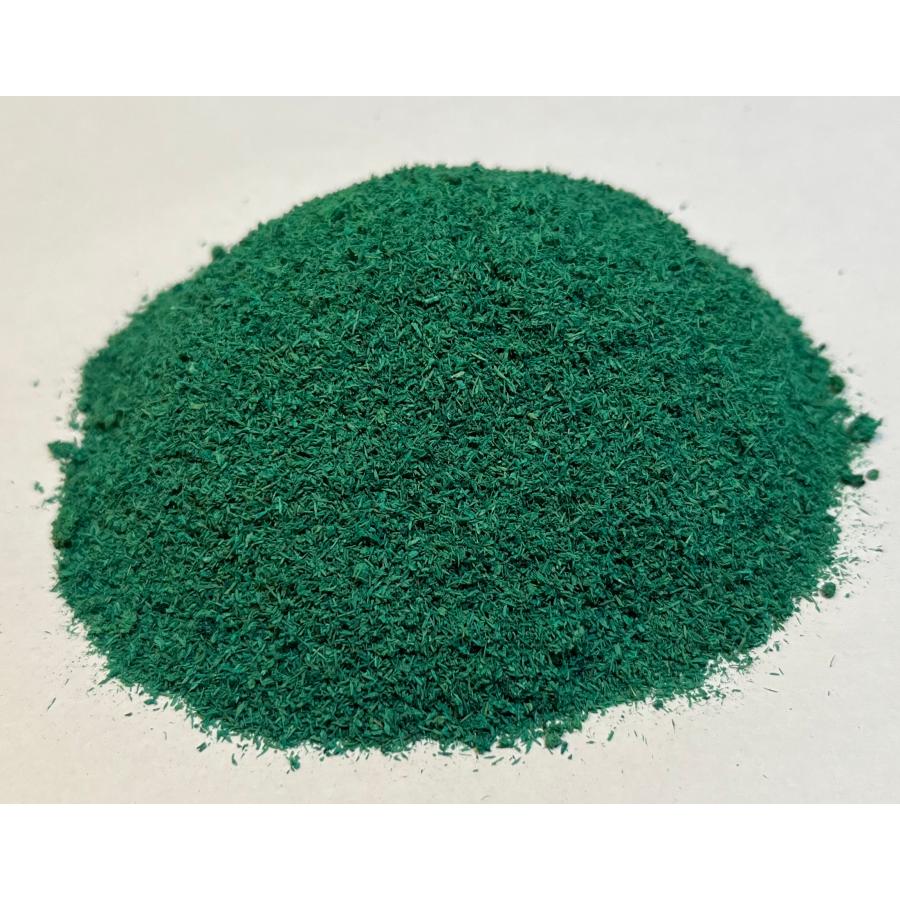 大容量 Wood Color Powder（ウッドカラーパウダー）模型用素材 10g 緑1 : Manual Art and Crafts ...