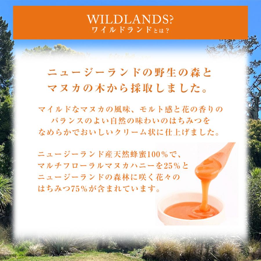 ワイルドランドハニー ブレンド蜂蜜 はちみつ コンビタ 500g 1個 大容量 マヌカハニー マヌカ蜂蜜 天然蜂蜜 無添加 非加熱 ギフト | COMVITA | 02