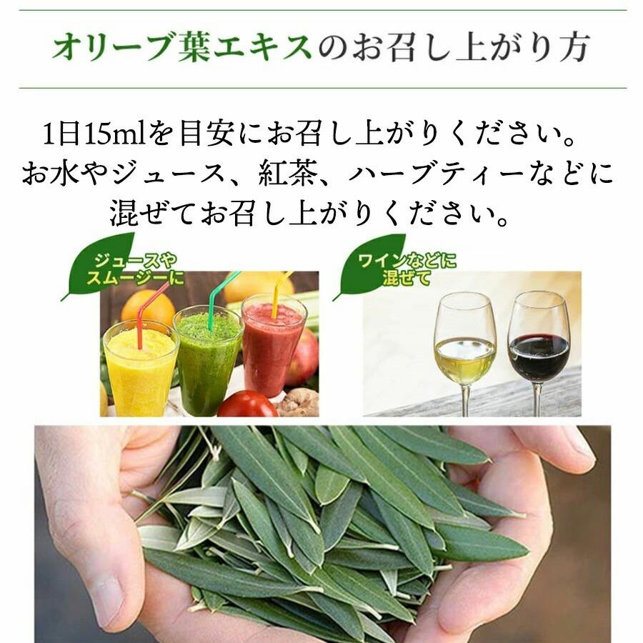 Yoshi オリーブ葉エキス 2つ オリーブ葉エキス、標準化、アルコール不使用、600mg、60ml（2液量オンス）