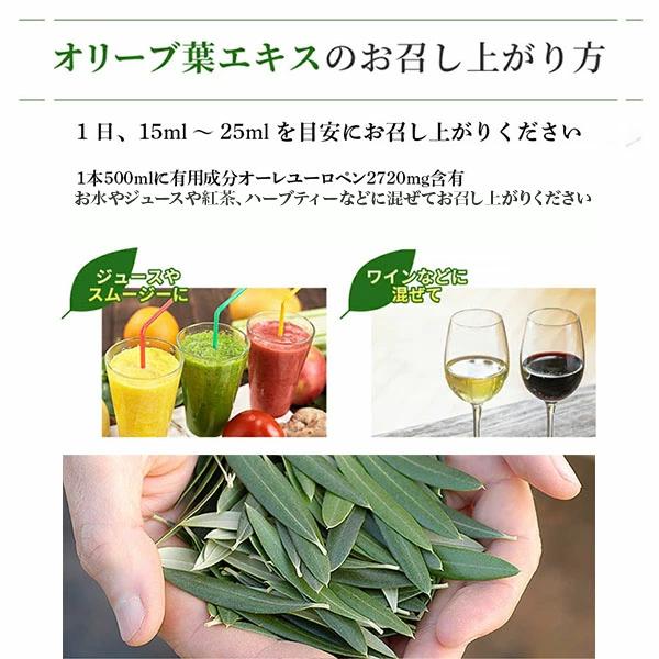 オリーブ葉エキス プレーン味 500ml コンビタ 天然