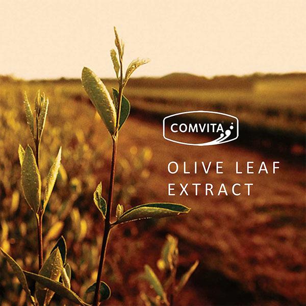 オリーブ葉エキス 500ml コンビタ 天然 ポリフェノール 自社農園