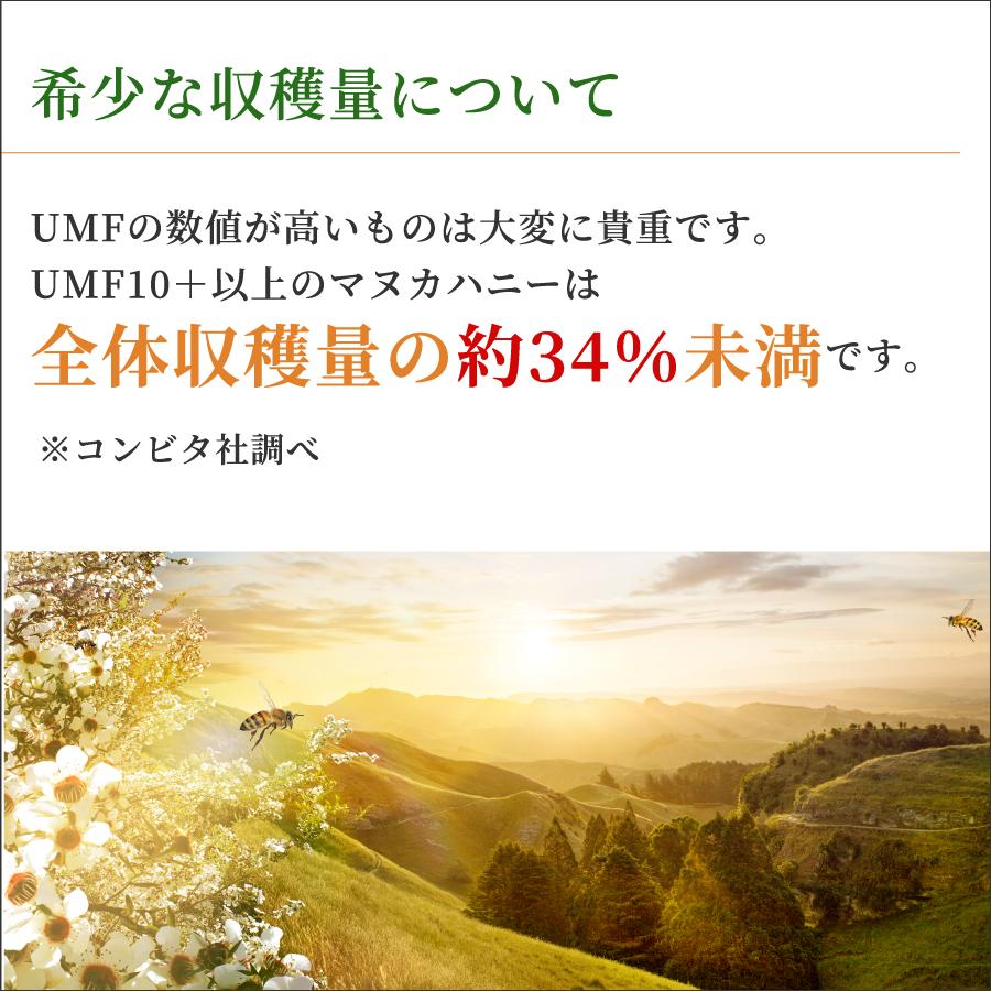 ＼クーポン利用で30%OFF／ マヌカハニー はちみつ UMF 10+ MGO 263+ 500g 蜂蜜 コンビタ 生はちみつ 非加熱 直輸入 ニュージーランド産 贈答品｜manuka｜13