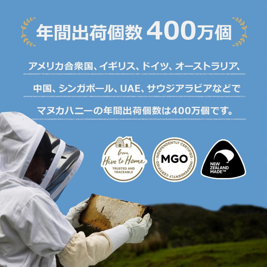 マヌカハニー 送料無料 MGO40+ 500g ニュージーランド マルチ