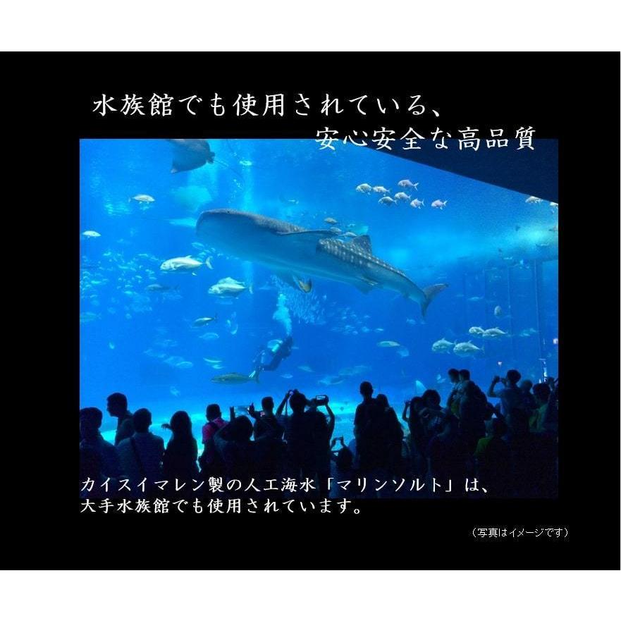 ブルートレジャー シーソルト ６００Ｌ用 ６．７ｋｇ×３袋入 お一人様１点限り 人工海水