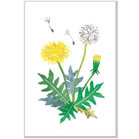 Tomocolla春柄ポストカード たんぽぽ 1枚入り Pm 57h Active 30個までネコポス便可能 M在庫 2 C2 Active Pm 57h The 文房具 令和万葉堂 通販 Yahoo ショッピング