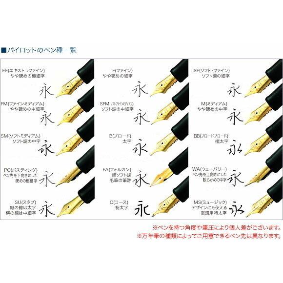 PILOT 万年筆 カスタム823 クリア ペン種F パイロット 万年筆 カスタム823 透明ブラック | ペンハウス