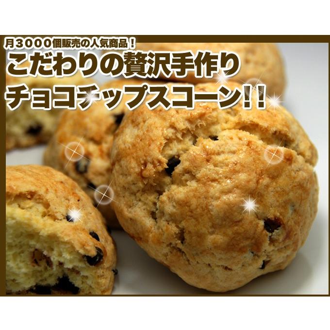 訳あり こだわりのチョコチップスコーン1kg 満足マーケット 通販 Yahoo ショッピング