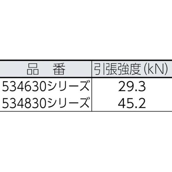 セイフライン　9.5φ×91m　青／黄　ＢｌｕｅＷａｔｅｒ　7589743