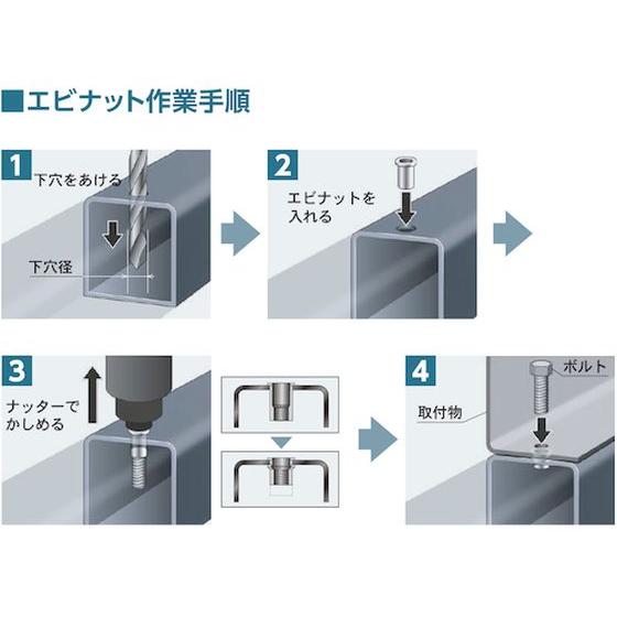 エビ ブラインドナット エビナット (薄頭・アルミ製) 板厚2.5 M10×1　ロブテックス　3723623 - 5