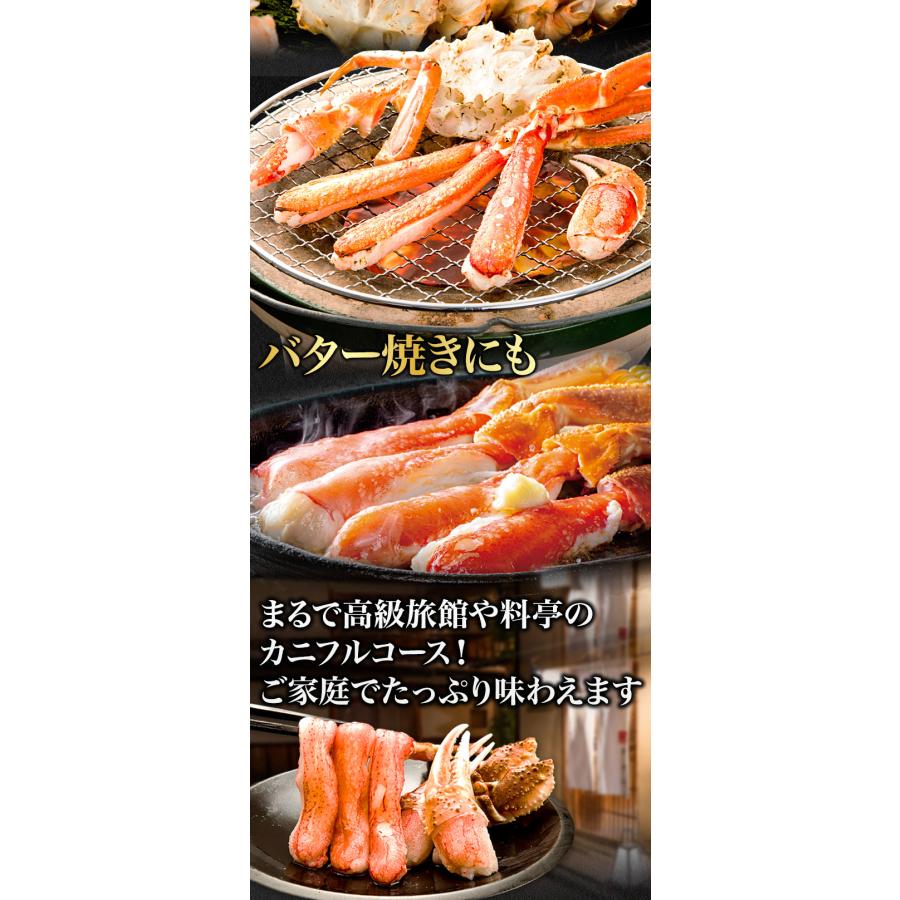 お値引きクーポン配布中 4.8kg 高鮮度 特特大生ズワイガニ剥き身セット 生ズワイガニ ずわいがに生 生ズワイポーション カニお刺身 全国送料無料