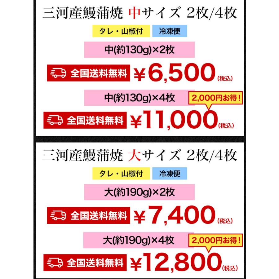 お値引きクーポン配布中 大サイズ4枚 三河産鰻蒲焼 愛知県三河産 うなぎ ウナギ 蒲焼 国産ウナギ 国産鰻 土用の丑の日 送料無料