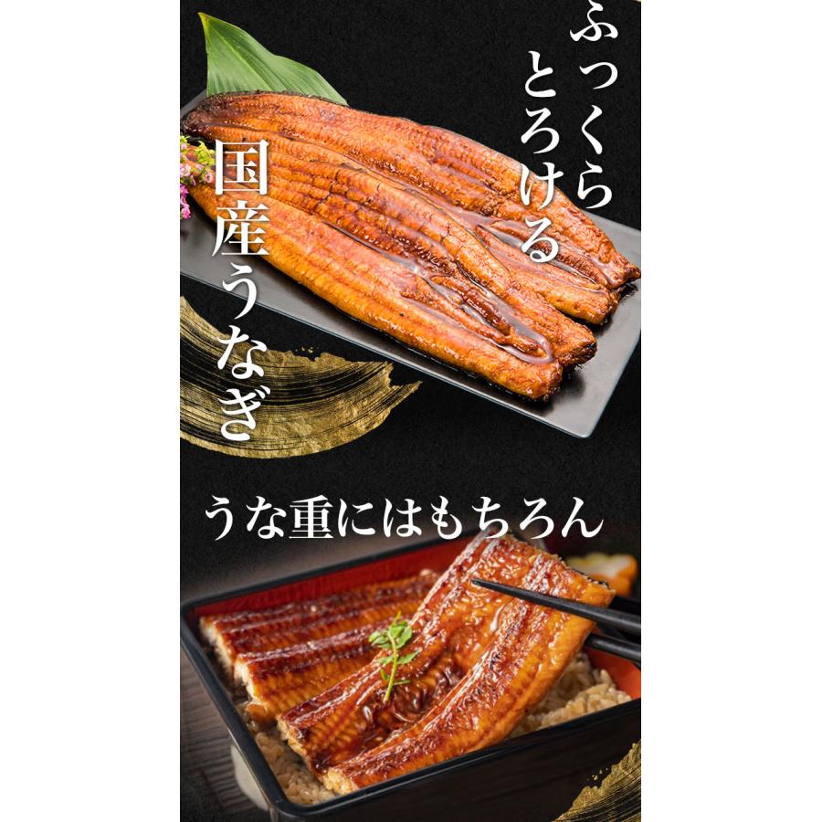 お値引きクーポン配布中 大サイズ4枚 三河産鰻蒲焼 愛知県三河産 うなぎ ウナギ 蒲焼 国産ウナギ 国産鰻 土用の丑の日 送料無料