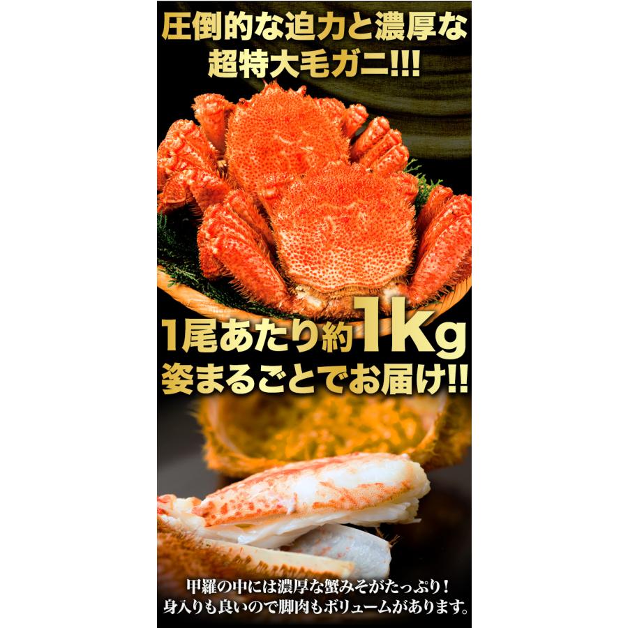 お値引きクーポン配布中 1尾 約1.2kg 超特大毛ガニ (ボイル済) カニ か