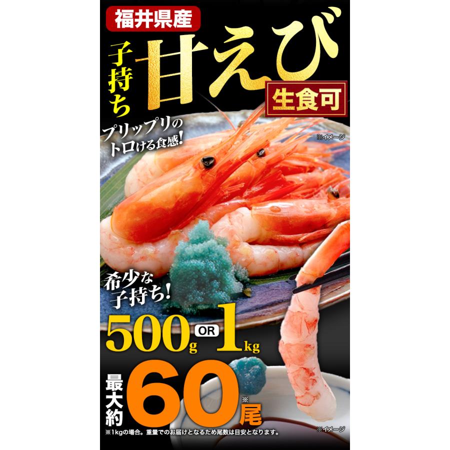 500g 福井県産 子持ち甘えび（生食可） 卵 こもち あまえび アマエビ