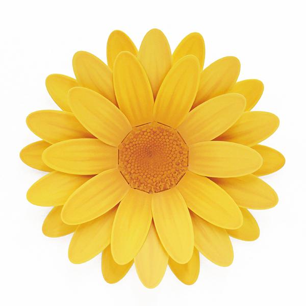 色紙 フラワータペストリー マーガレット 花言葉 優しい思い出 プレゼント 寄せ書き 記念品 色紙額 大人数 卒業 部活 先生 退職 ありがとう Artha Shikishi36 ラッピング プチギフトまんぞく屋 通販 Yahoo ショッピング