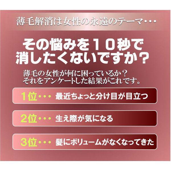 返品送料無料 薄毛 パウダー ブラウン 女性 マイ ヘアーレディｇ ダークブラウン 白髪 染め 隠し カバー かくし Every28 海外輸入 Www Halitlar Com