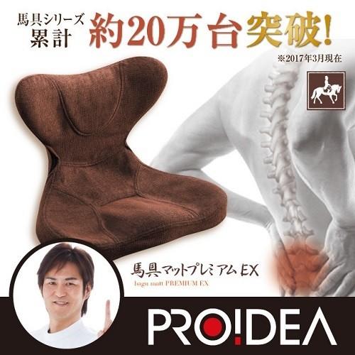 骨盤クッション 馬具マットプレミアムEX 腰痛 クッション : エム