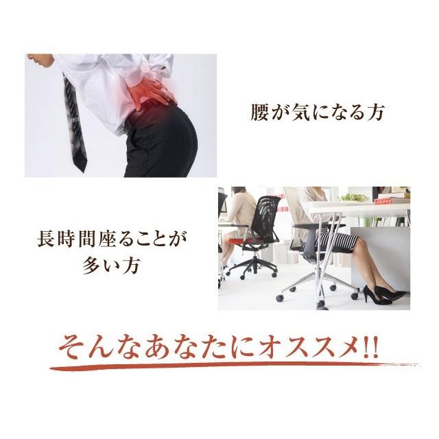 骨盤クッション 馬具マットプレミアムEX 腰痛 クッションの画像