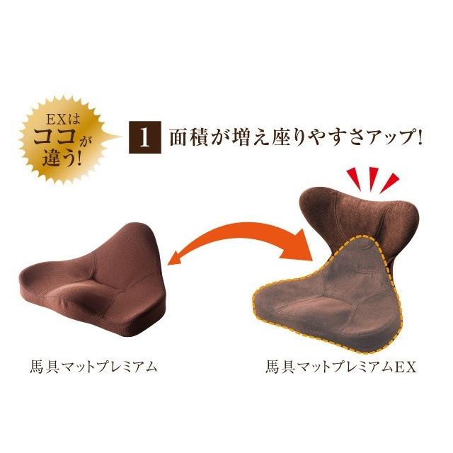骨盤クッション 馬具マットプレミアムEX 腰痛 クッションの画像