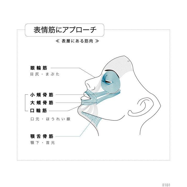 美顔 フェイスローラー ミニ リフトアップ リフトプラスティ フェイス