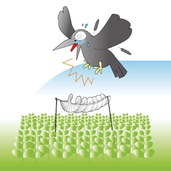 カラス なぜ逃げる どこでも取付タイプ 撃退 |  | 03