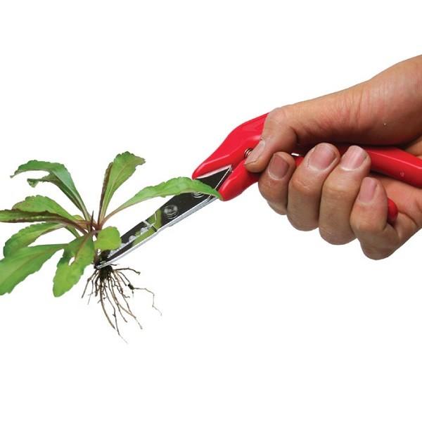 雑草取り 道具 草抜くぞう ガーデニング |  | 04