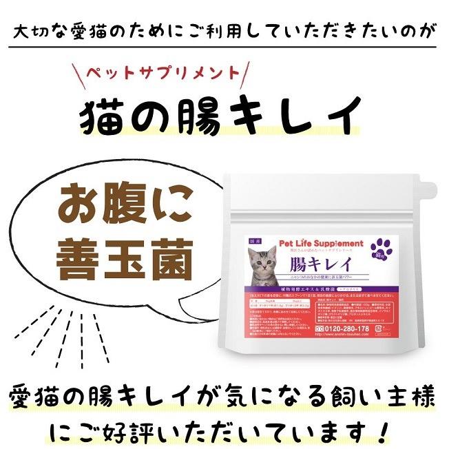 ペット サプリメント 栄養補助 乳酸菌 猫の腸キレイ ネコポス発送 送料180円｜maone｜02