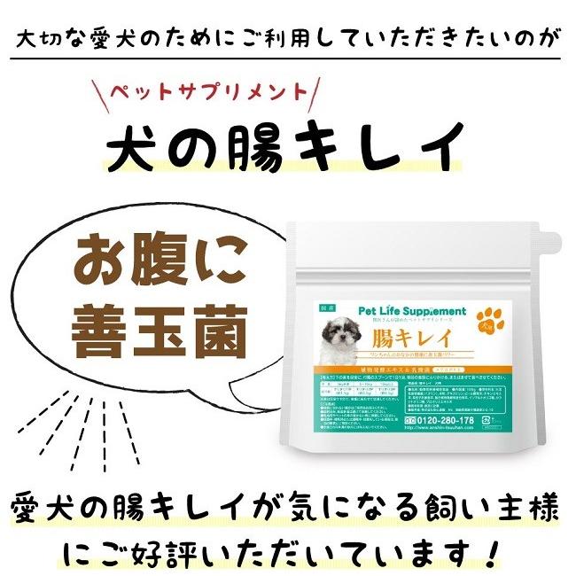 ペット サプリメント 栄養補助 健康 乳酸菌 犬の腸キレイ ネコポス発送 送料180円｜maone｜02