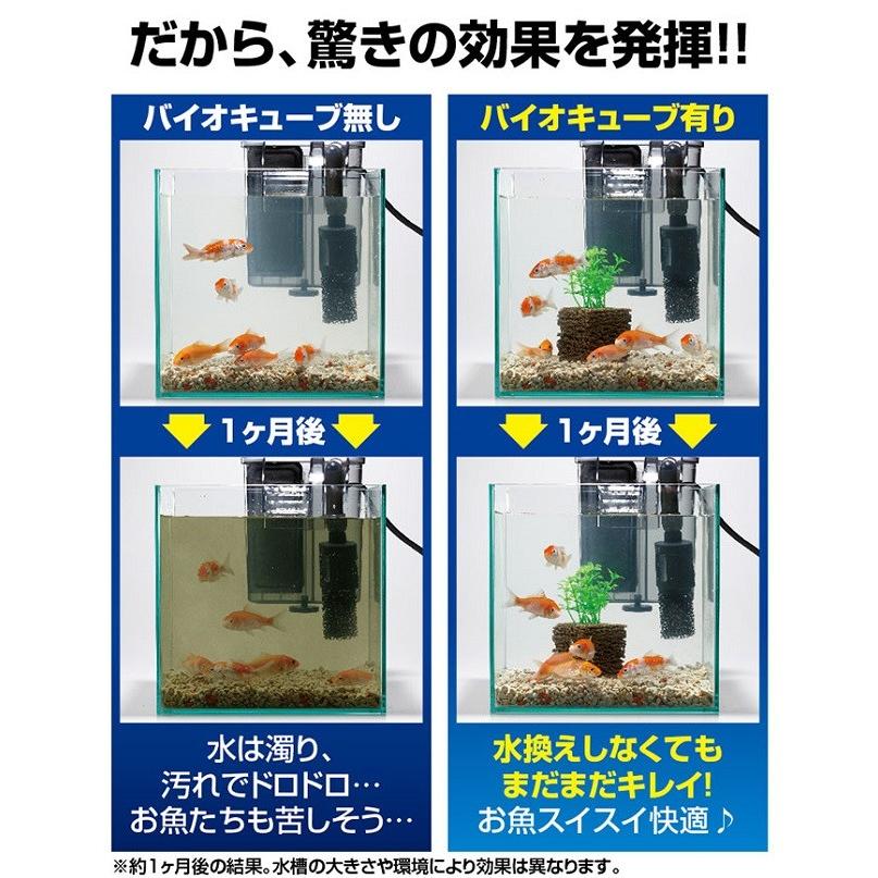 アクアリウム お魚天国バイオキューブ 水槽 |  | 02