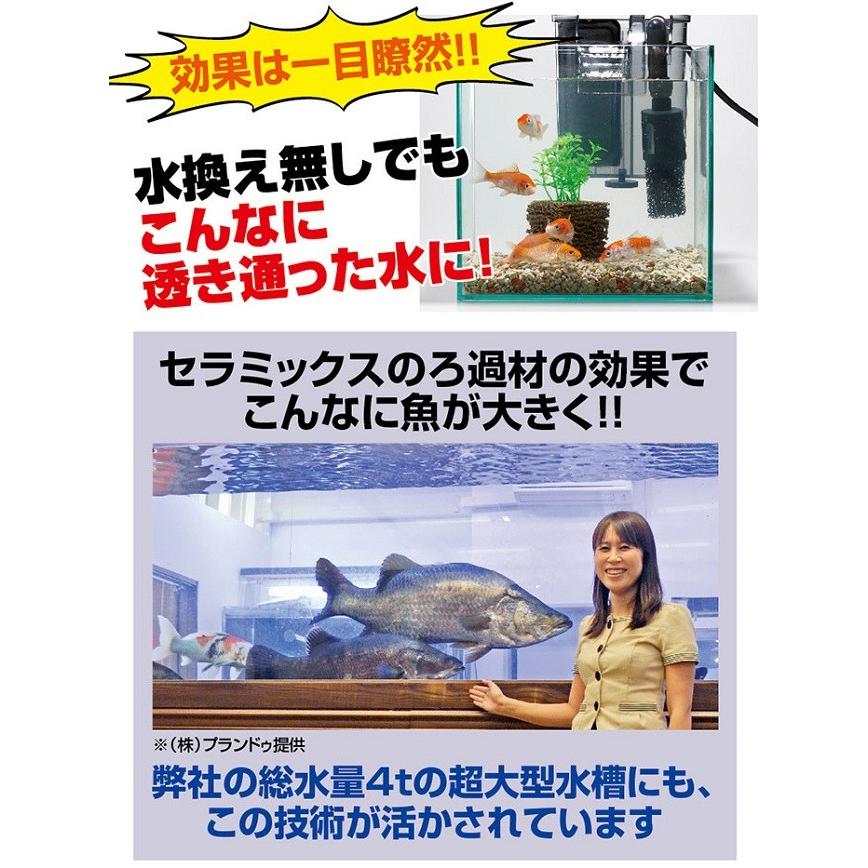 アクアリウム お魚天国バイオキューブ 水槽 |  | 03