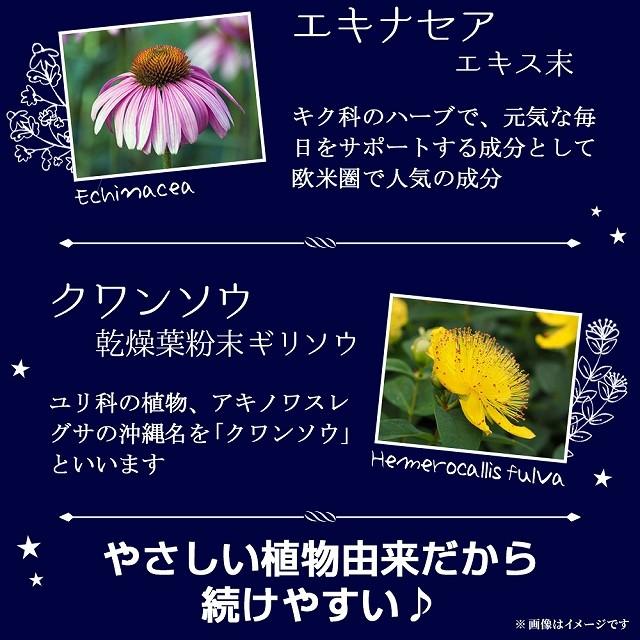 快眠サプリ 安眠 ネルエル 180粒 アミノ酸 グリシン サプリメント ネコポス発送 送料無料 |  | 12