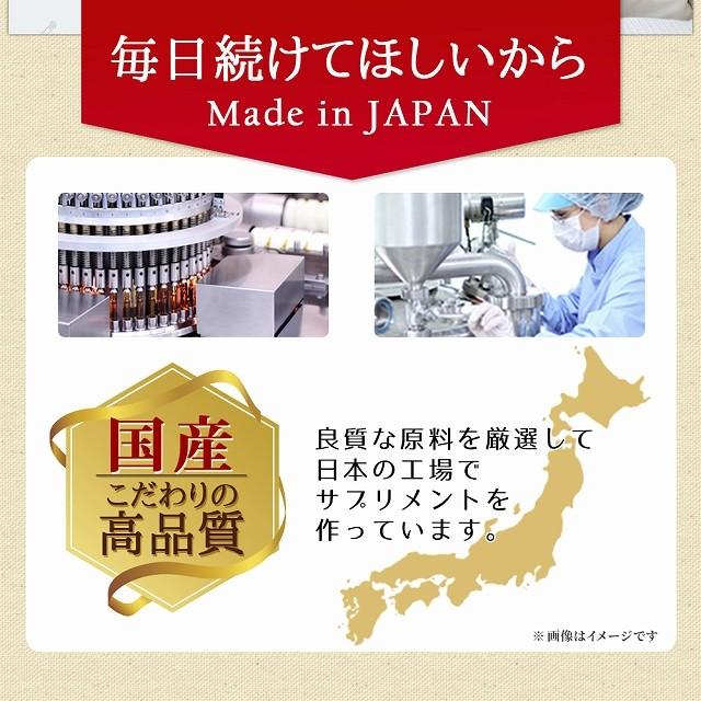 快眠サプリ 安眠 ネルエル 180粒 アミノ酸 グリシン サプリメント ネコポス発送 送料無料 |  | 14