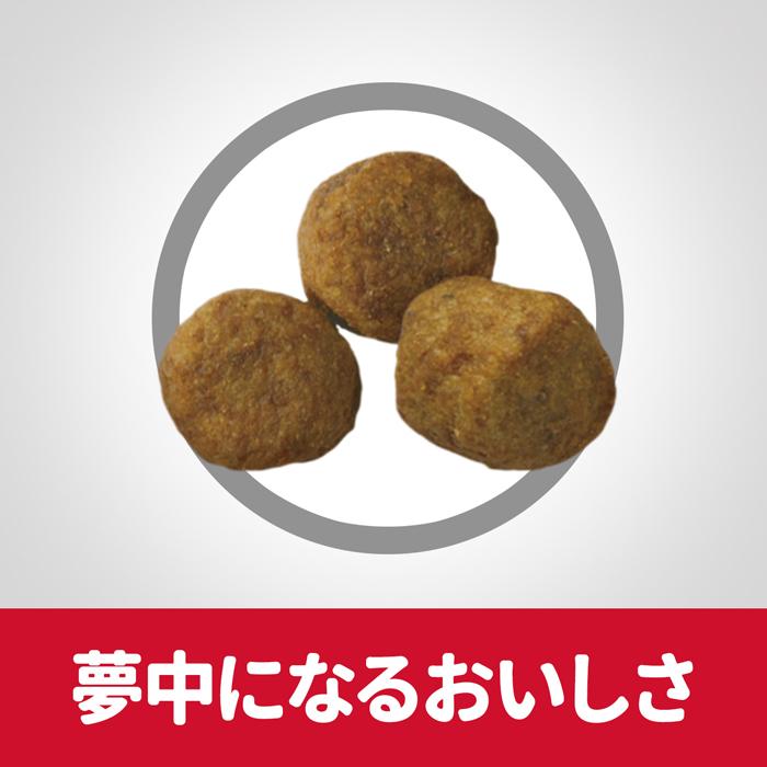 サイエンス ダイエット シニア高齢犬用3．3kg | サイエンス・ダイエット | 04