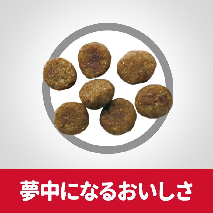 サイエンス ダイエット シニアアドバンスド小粒高齢犬用6．5kg |  | 04