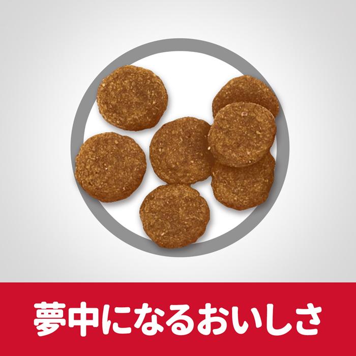 サイエンス ダイエット アダルトラム＆ライス小粒成犬6．5kg |  | 04