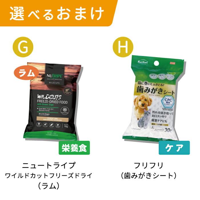 選べるおまけ付】チャーム（CHARM） 犬用 グラスフェッド ラム ドッグ