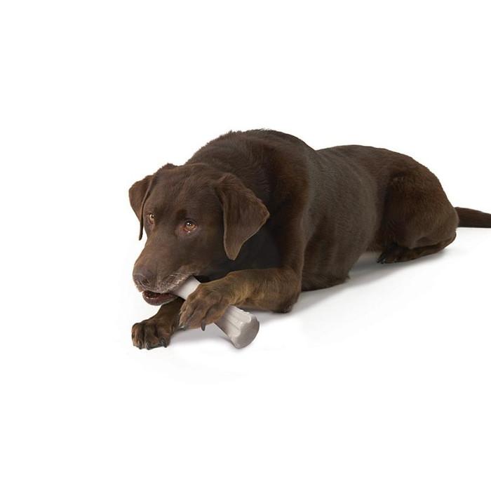 ディアー ホーン ジャイアント |  | 02