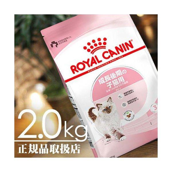 ロイヤルカナン ROYAL CANIN キトン SEAL限定商品 フィーライン 2kg ニュートリション FHN 大好評です 生後12ヶ月齢まで ヘルス